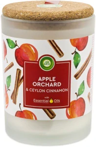 Air Wick Apple Orchard & Ceylon Cinnamon 185 g – aromatická svíčka s esenciálními oleji a korkovým víčkem