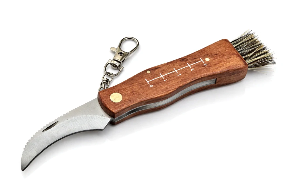 Houbařský nůž QiiM s kartáčkem, dřevěná rukojeť, nerezová čepel 6 cm, celková délka 17 cm, s karabinou